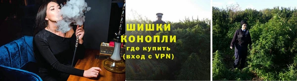 сатива Михайловск