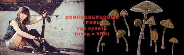 сатива Михайловск
