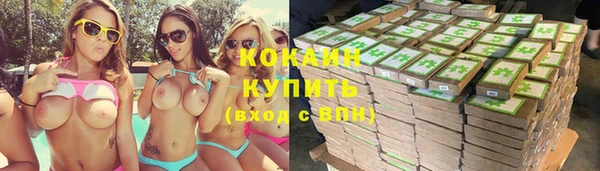 твердый Михайловка